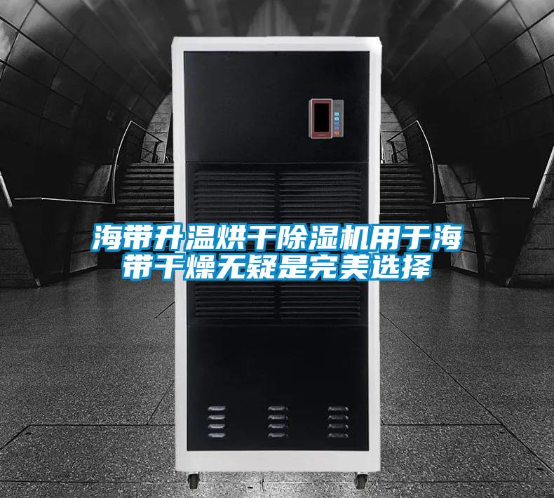 海带升温烘干草莓视频APP在线观看用于海带干燥无疑是完美选择