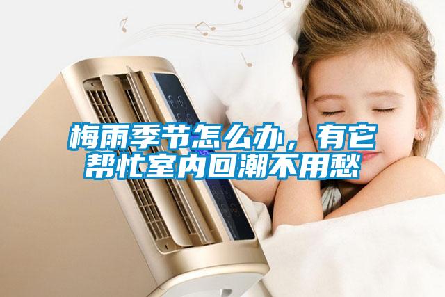 梅雨季节怎么办，有它帮忙室内回潮不用愁