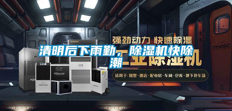 清明后下雨勤，草莓视频APP在线观看快除潮