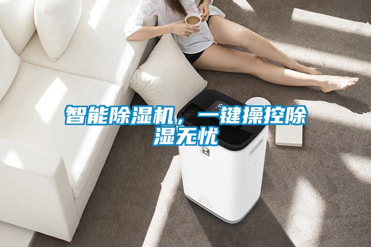 智能草莓视频APP在线观看，一键操控除湿无忧