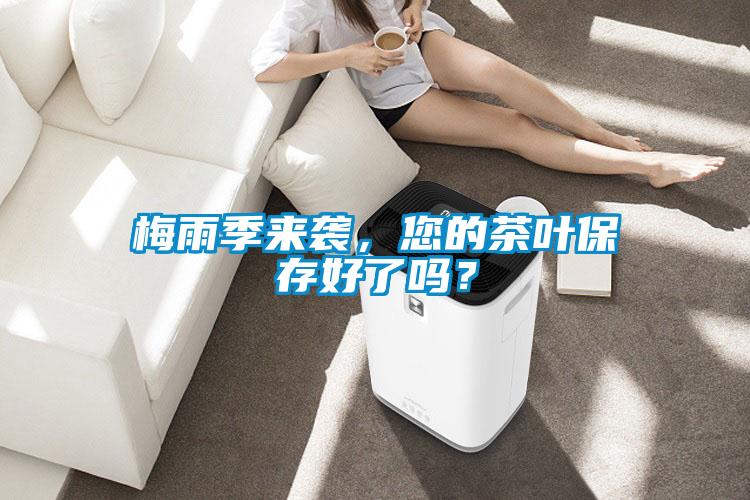 梅雨季来袭，您的茶叶保存好了吗？