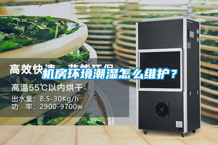 机房环境潮湿怎么维护？