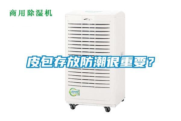 皮包存放防潮很重要？