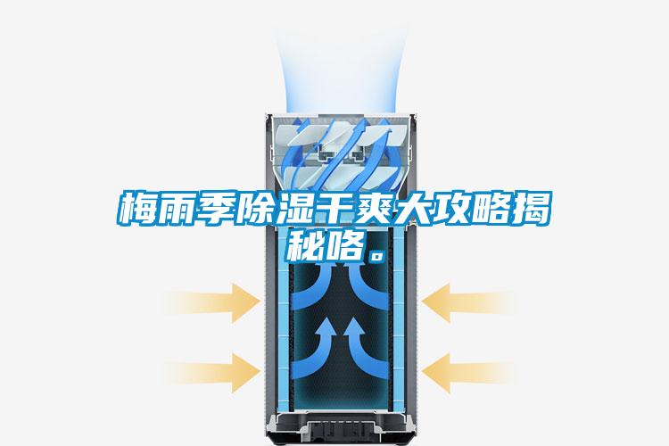 梅雨季除湿干爽大攻略揭秘咯。