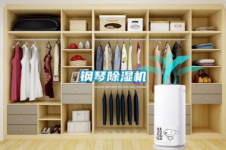 钢琴草莓视频APP在线观看