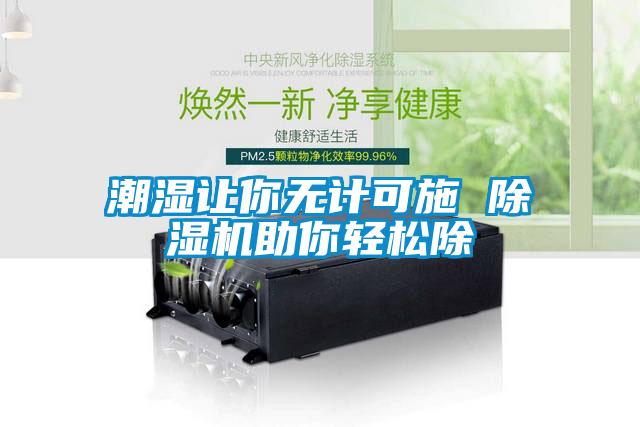 潮湿让你无计可施 草莓视频APP在线观看助你轻松除
