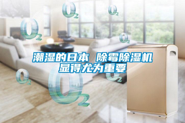 潮湿的日本 除霉草莓视频APP在线观看显得尤为重要