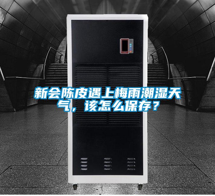 新会陈皮遇上梅雨潮湿天气，该怎么保存？
