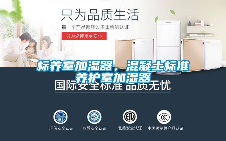 标养室加湿器，混凝土标准养护室加湿器