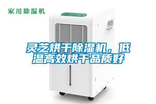 灵芝烘干草莓视频APP在线观看，低温高效烘干品质好
