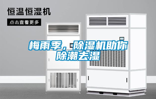 梅雨季，草莓视频APP在线观看助你除潮去湿