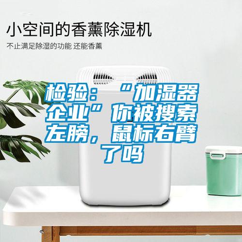 检验：“加湿器企业”你被搜索左膀，鼠标右臂了吗