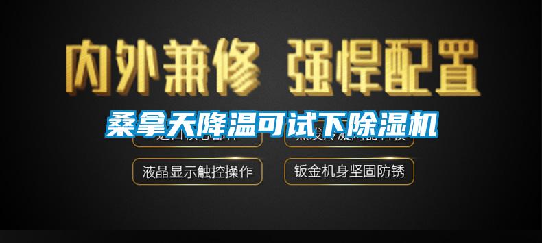 桑拿天降温可试下草莓视频APP在线观看