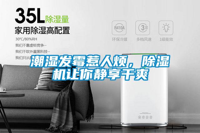 潮湿发霉惹人烦，草莓视频APP在线观看让你静享干爽