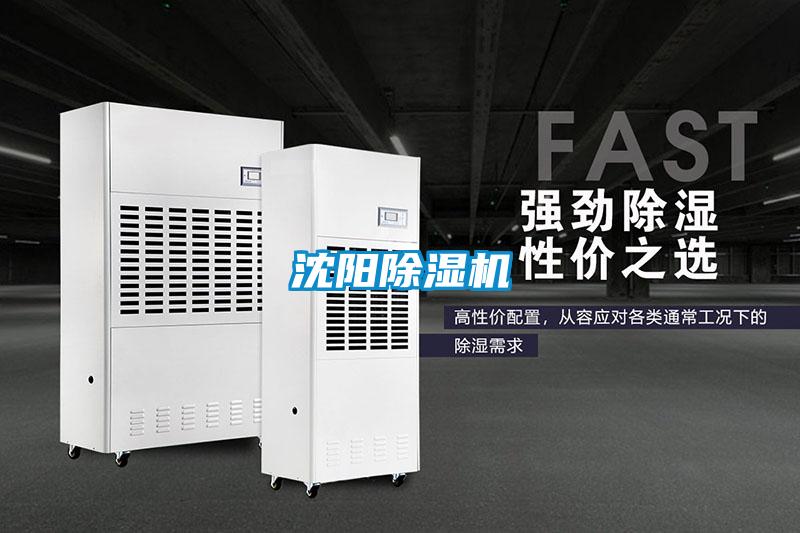 沈阳草莓视频APP在线观看