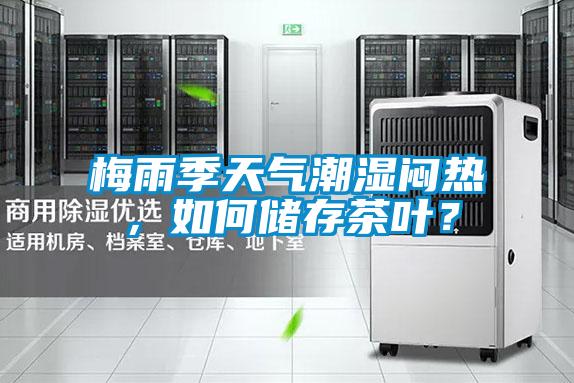 梅雨季天气潮湿闷热，如何储存茶叶？