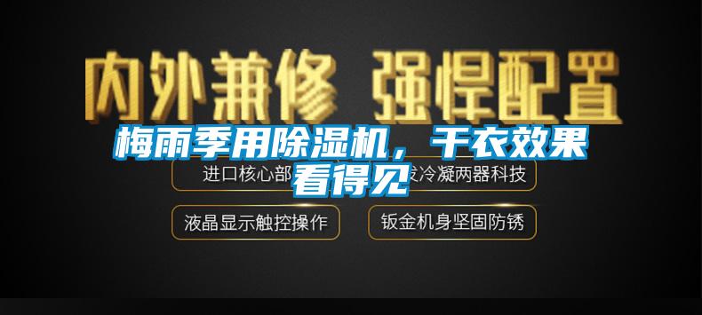 梅雨季用草莓视频APP在线观看，干衣效果看得见