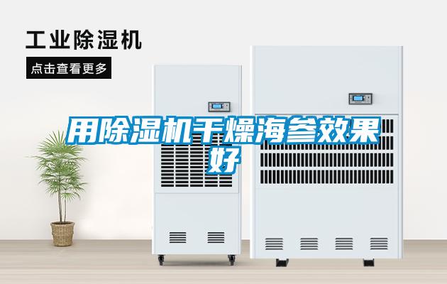 用草莓视频APP在线观看干燥海参效果好