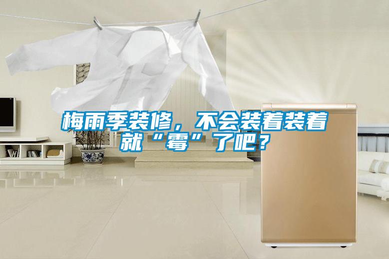 梅雨季装修，不会装着装着就“霉”了吧？