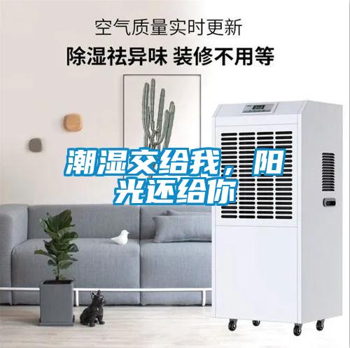 潮湿交给我，阳光还给你