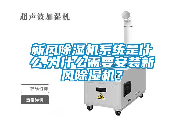 新风草莓视频APP在线观看系统是什么,为什么需要安装新风草莓视频APP在线观看？