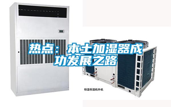 热点：本土加湿器成功发展之路