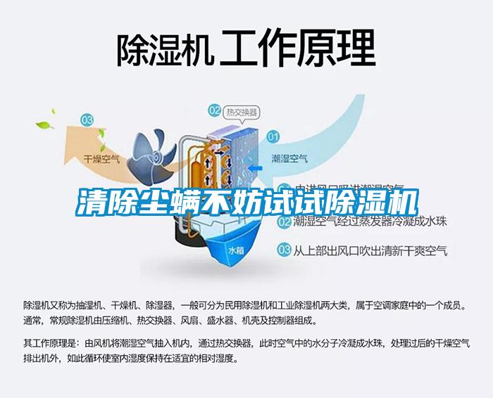 清除尘螨不妨试试草莓视频APP在线观看