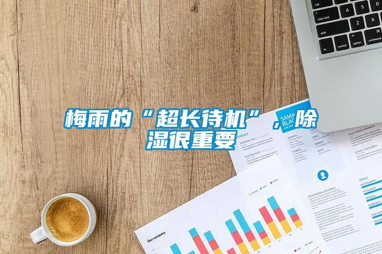 梅雨的“超长待机”，除湿很重要