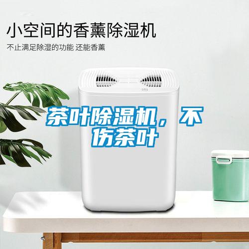 茶叶草莓视频APP在线观看，不伤茶叶