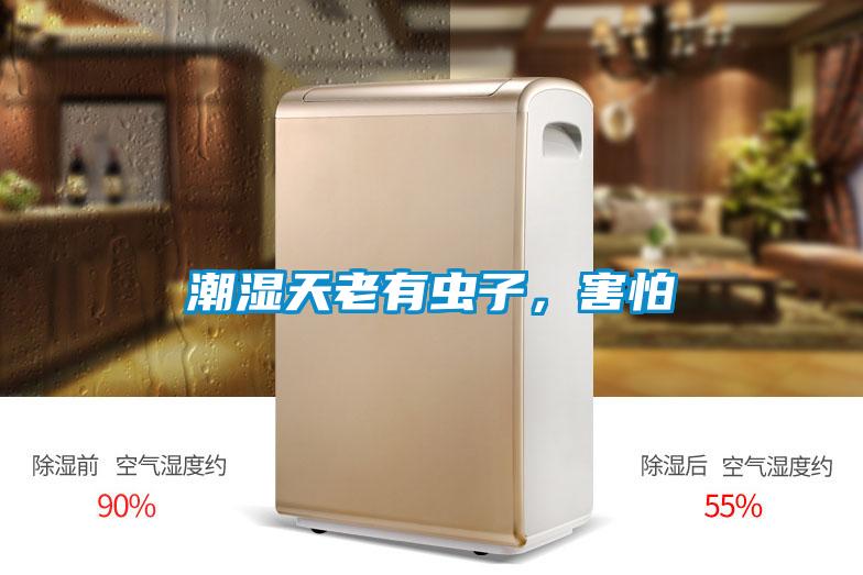 潮湿天老有虫子，害怕
