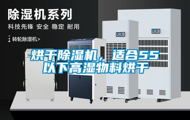 烘干草莓视频APP在线观看，适合55℃以下高湿物料烘干