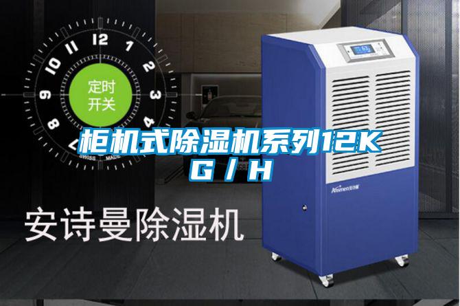柜机式草莓视频APP在线观看系列12KG／H