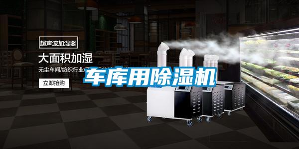 车库用草莓视频APP在线观看
