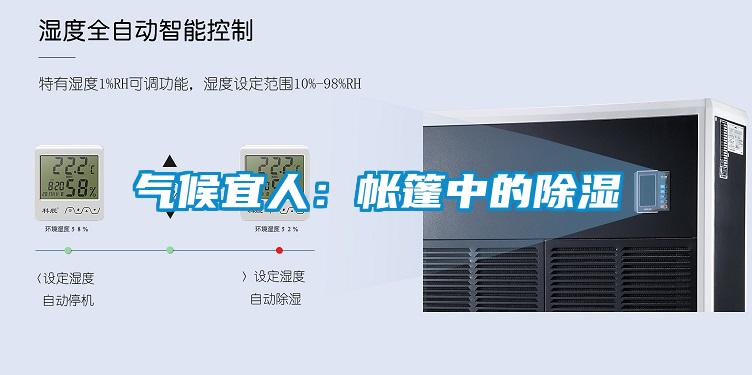 气候宜人：帐篷中的除湿