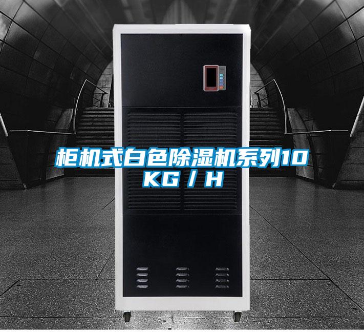 柜机式白色草莓视频APP在线观看系列10KG／H