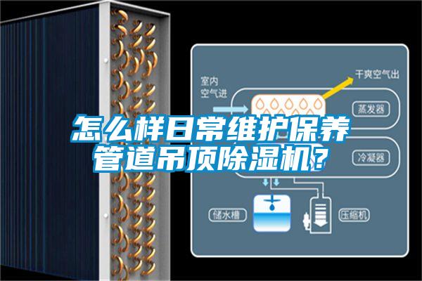 怎么样日常维护保养管道吊顶草莓视频APP在线观看？