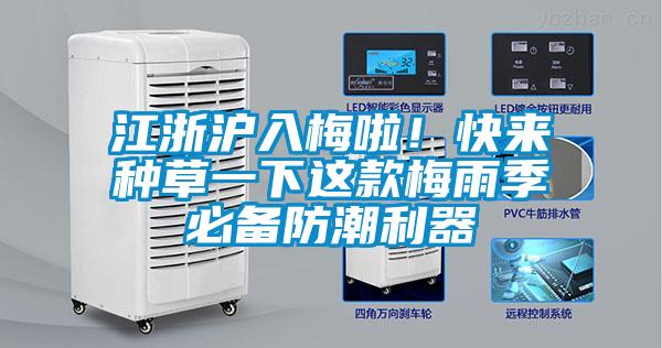 江浙沪入梅啦！快来种草一下这款梅雨季必备防潮利器