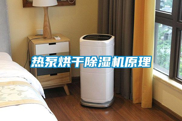热泵烘干草莓视频APP在线观看原理