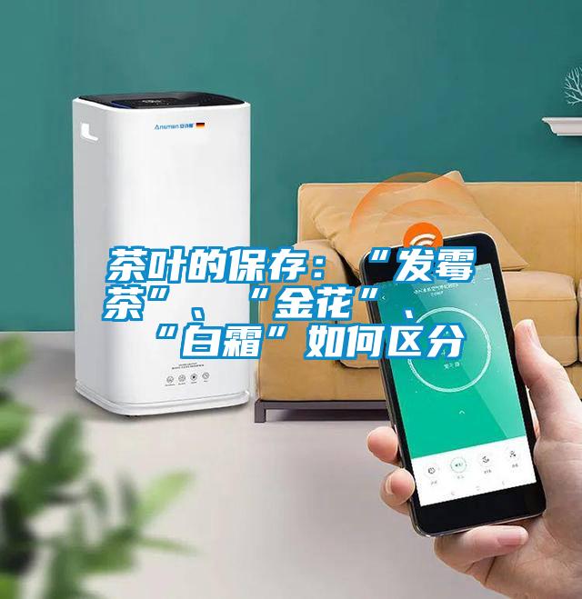 茶叶的保存：“发霉茶”、“金花”、“白霜”如何区分