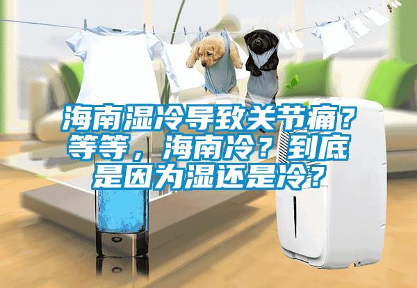 海南湿冷导致关节痛？等等，海南冷？到底是因为湿还是冷？