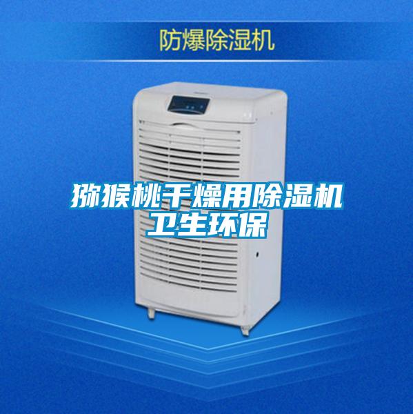 猕猴桃干燥用草莓视频APP在线观看卫生环保