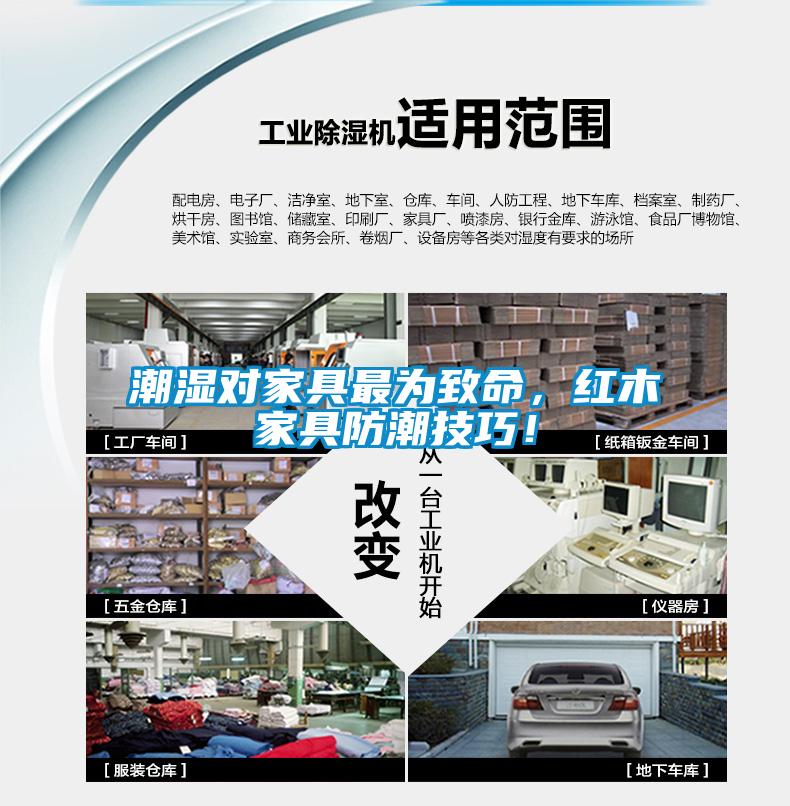 潮湿对家具最为致命，红木家具防潮技巧！