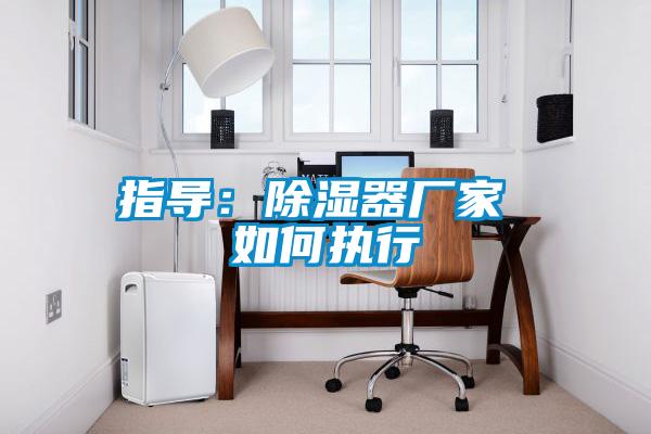 指导：除湿器厂家 如何执行