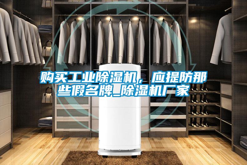 购买工业草莓视频APP在线观看，应提防那些假名牌_草莓视频APP在线观看厂家