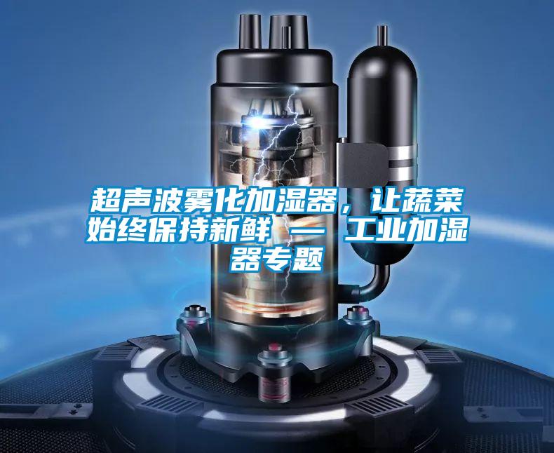 超声波雾化加湿器，让蔬菜始终保持新鲜 — 工业加湿器专题