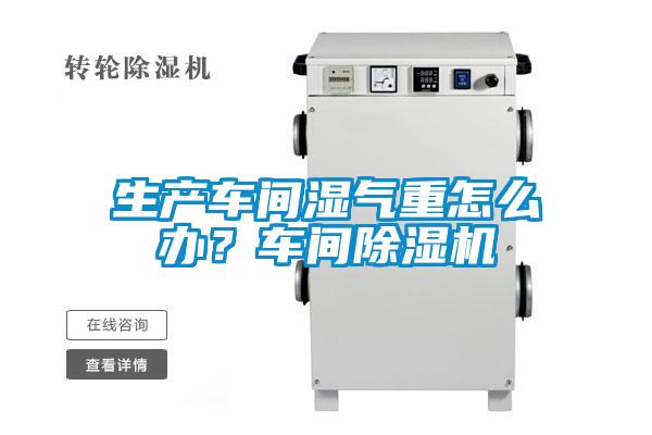 生产车间湿气重怎么办？车间草莓视频APP在线观看