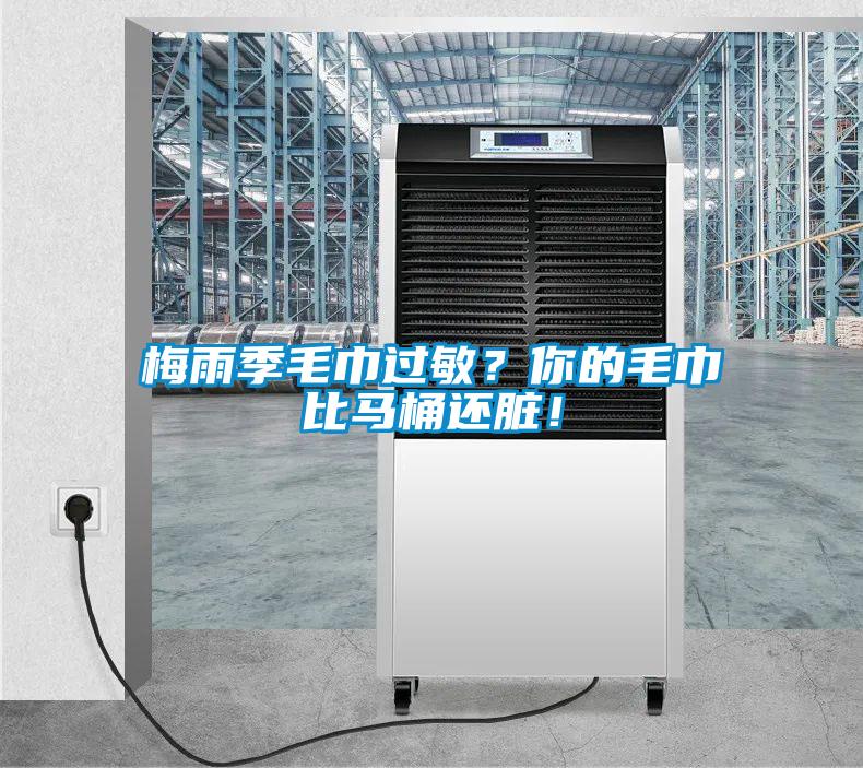 梅雨季毛巾过敏？你的毛巾比马桶还脏！