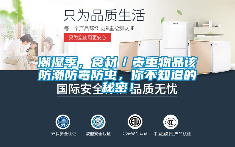 潮湿季，食材／贵重物品该防潮防霉防虫，你不知道的秘密！