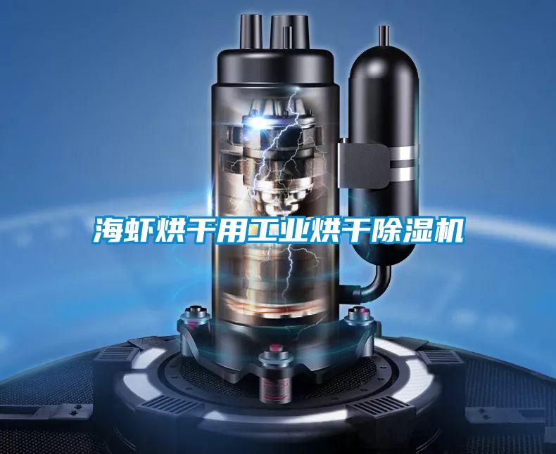 海虾烘干用工业烘干草莓视频APP在线观看