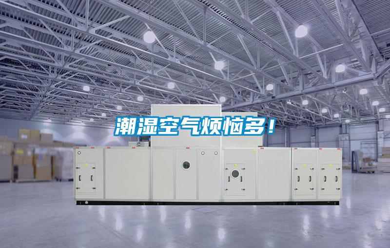 潮湿空气烦恼多！